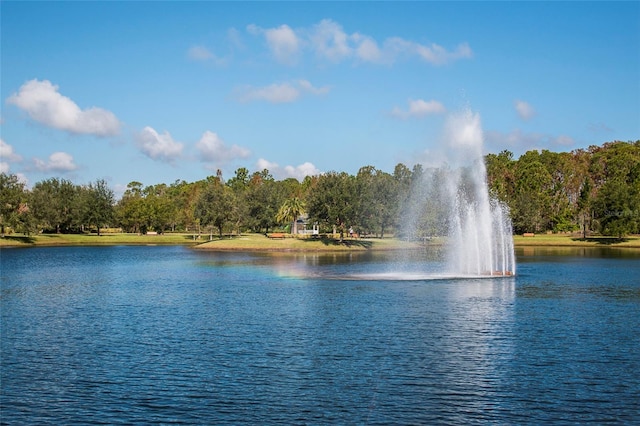 property view of water