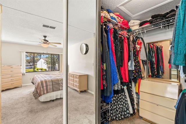 walk in closet featuring visible vents, carpet floors, attic access, and ceiling fan