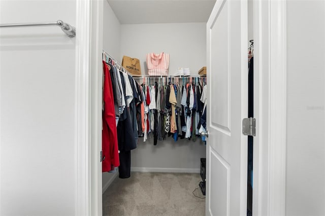 walk in closet with carpet floors