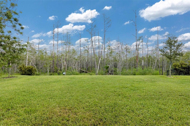 view of yard