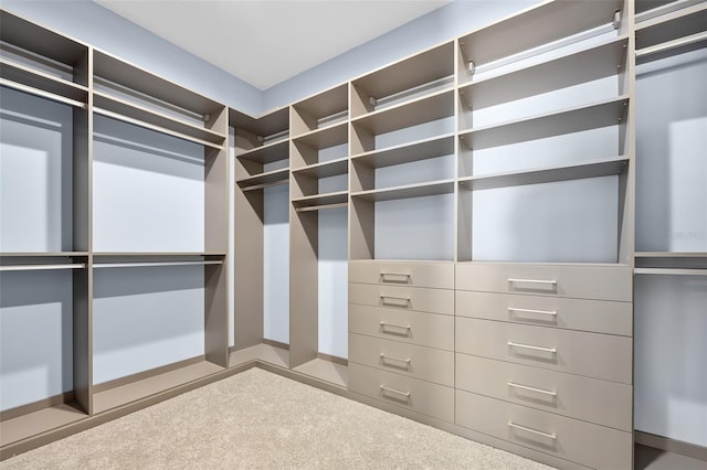 spacious closet with carpet floors