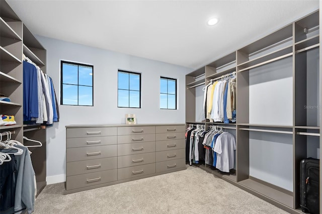 walk in closet with carpet flooring