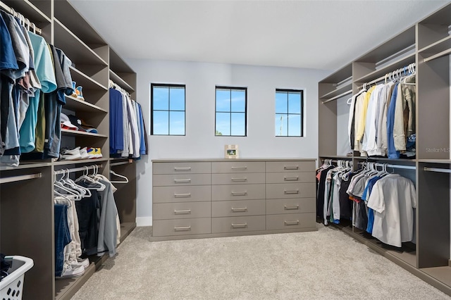 spacious closet with carpet flooring