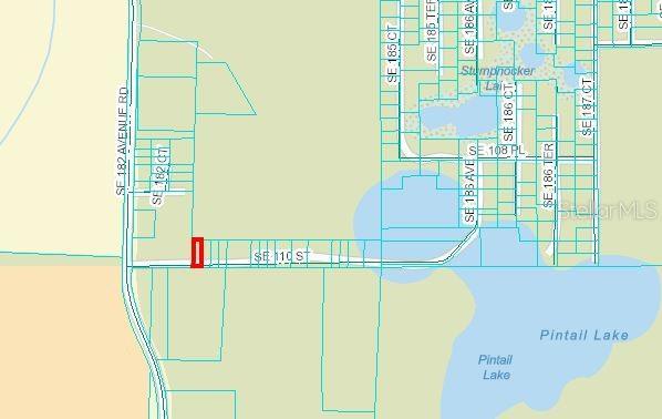 SE 110th St, Ocklawaha FL, 32179 land for sale