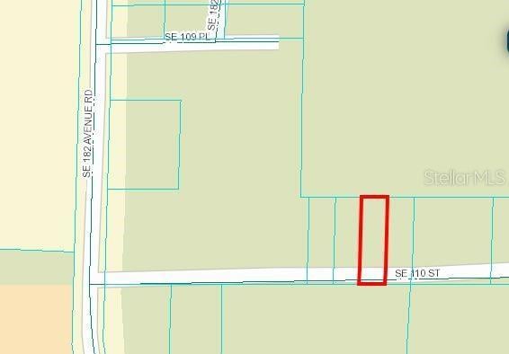 SE 110th St, Ocklawaha FL, 32179 land for sale