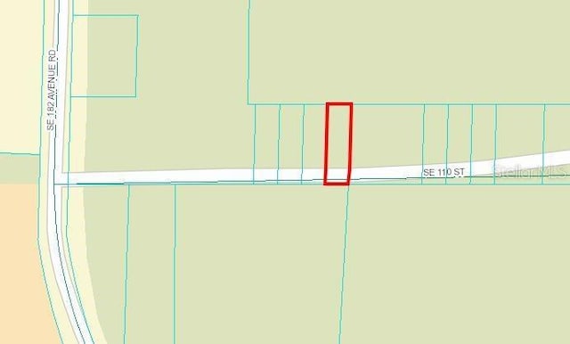 SE 110th St, Ocklawaha FL, 32179 land for sale