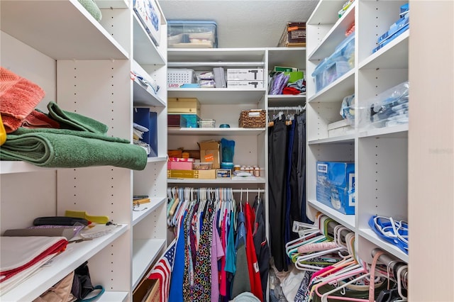 view of walk in closet