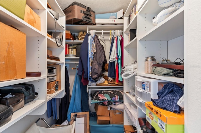 view of spacious closet