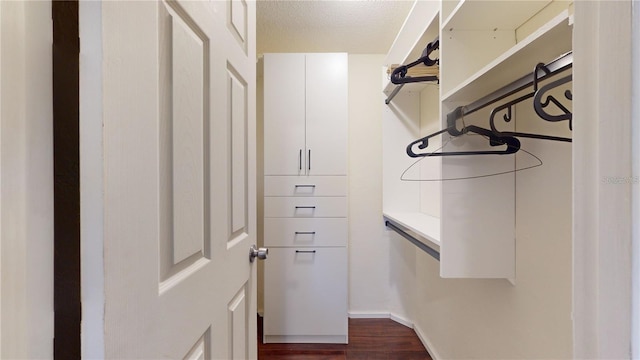 spacious closet featuring dark wood finished floors