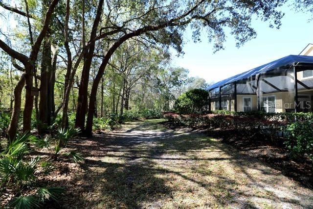 view of street featuring driveway