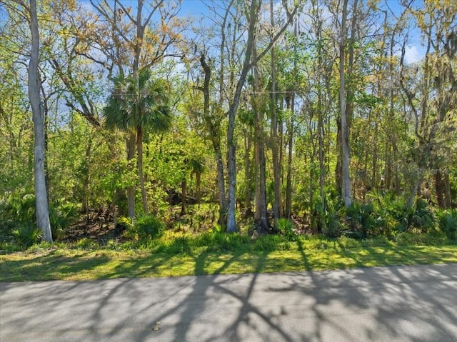 138 Blare Dr, Palm Coast FL, 32137 land for sale