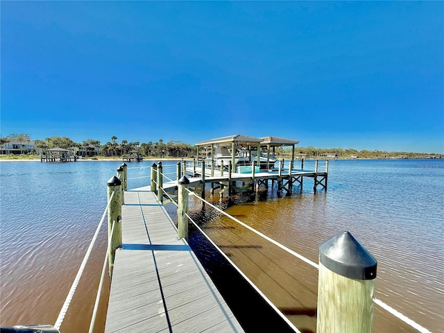 dock area with a water view