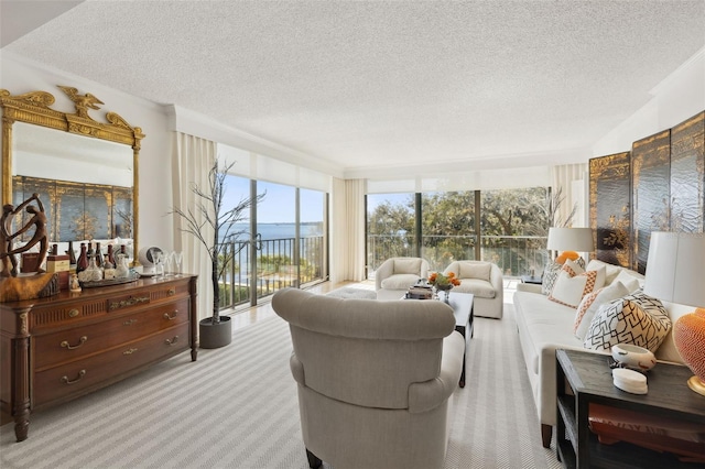 2970 Saint Johns Ave Unit 3F, Jacksonville, FL 32205 - carpeted living area featuring a textured ceiling