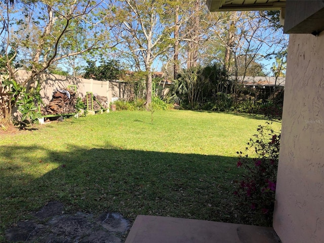 view of yard with a fenced backyard