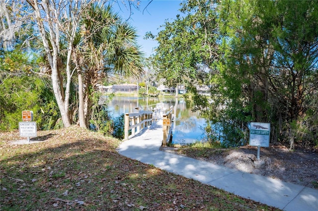 dock area with a water view