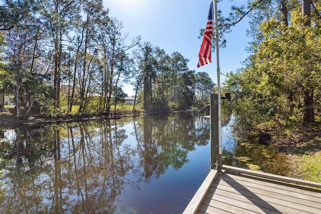 dock area with a water view