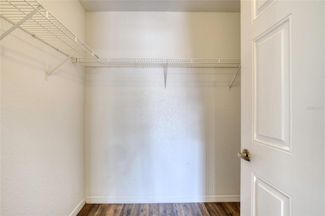 spacious closet featuring dark wood-style floors