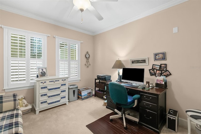 home office featuring ornamental molding, a ceiling fan, and carpet floors