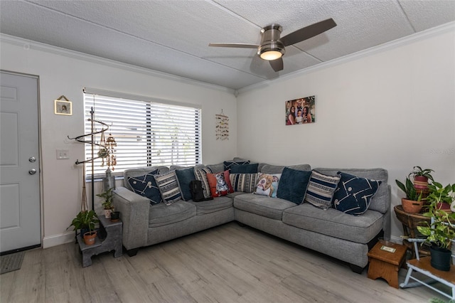 living area featuring a textured ceiling, ornamental molding, a ceiling fan, and light wood finished floors