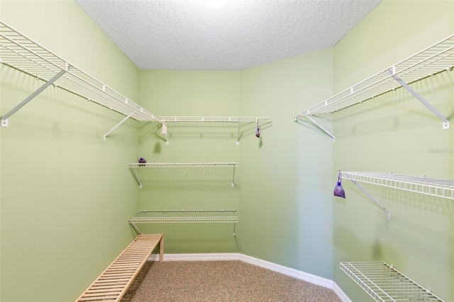 spacious closet with carpet