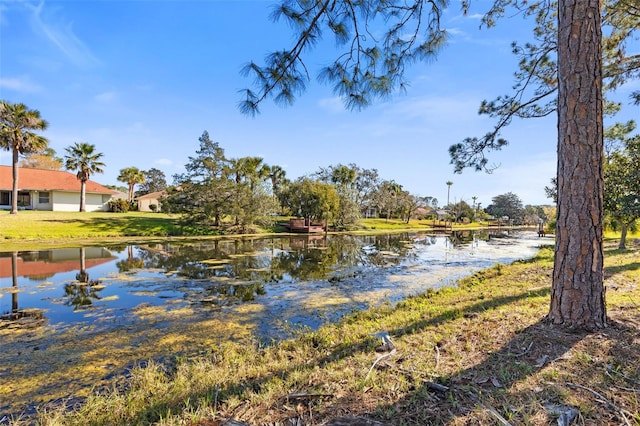 water view