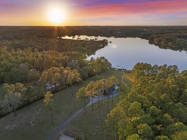 aerial view at dusk with a water view and a wooded view