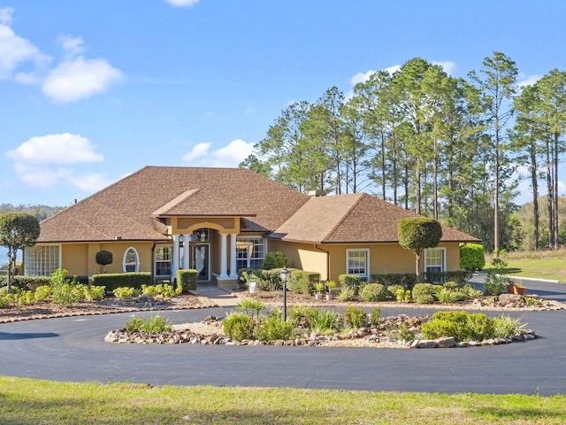 ranch-style house featuring stucco siding