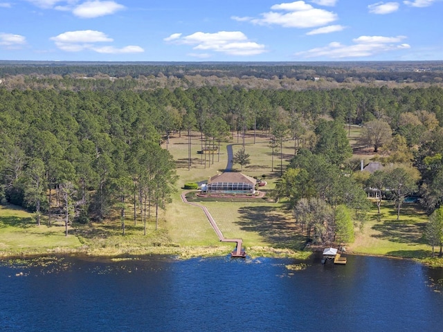 drone / aerial view featuring a forest view and a water view