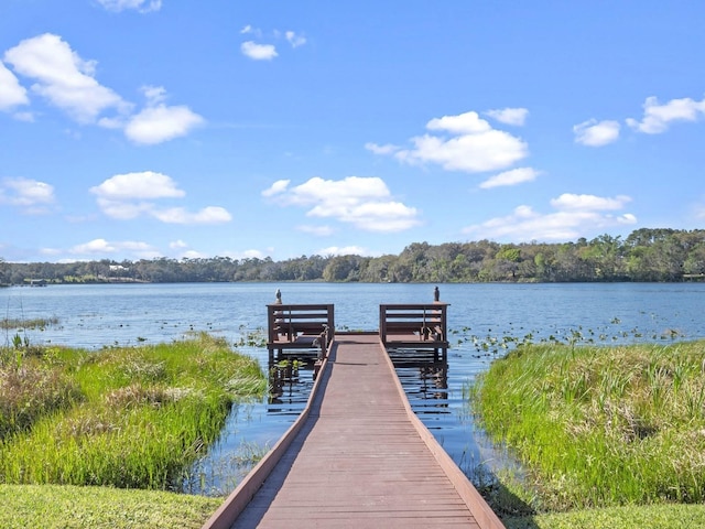 view of dock with a water view