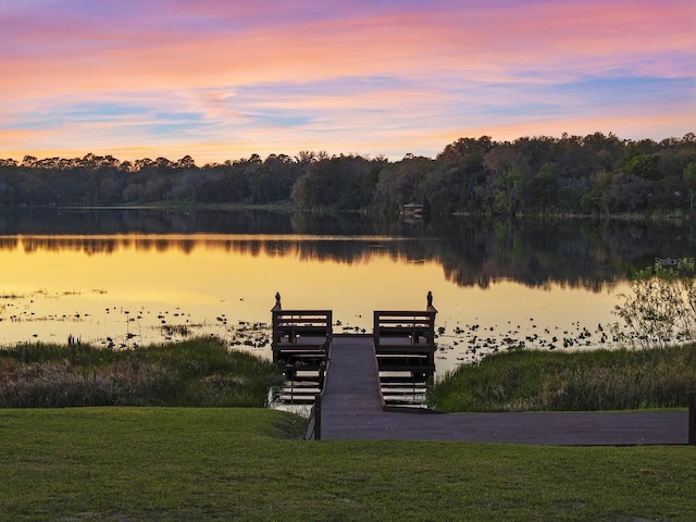 dock area featuring a view of trees, a yard, and a water view