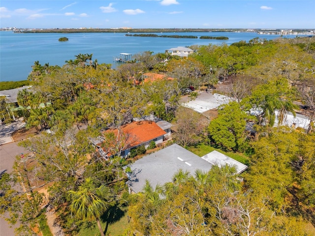 8285 28th Ave N, Saint Petersburg, FL 33710 - photo 28