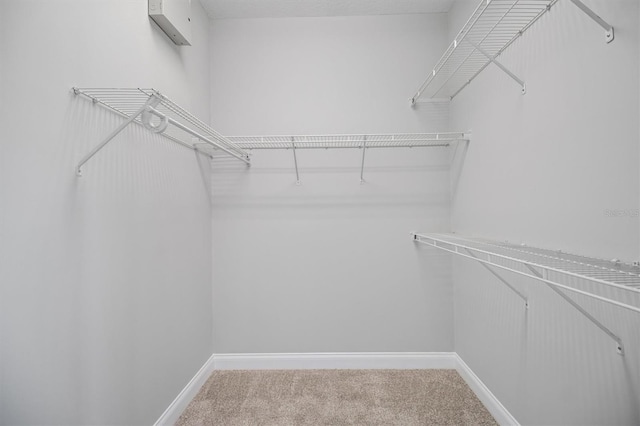 309 Crystal Lake Dr, Saint Augustine, FL 32084 - spacious closet with carpet floors