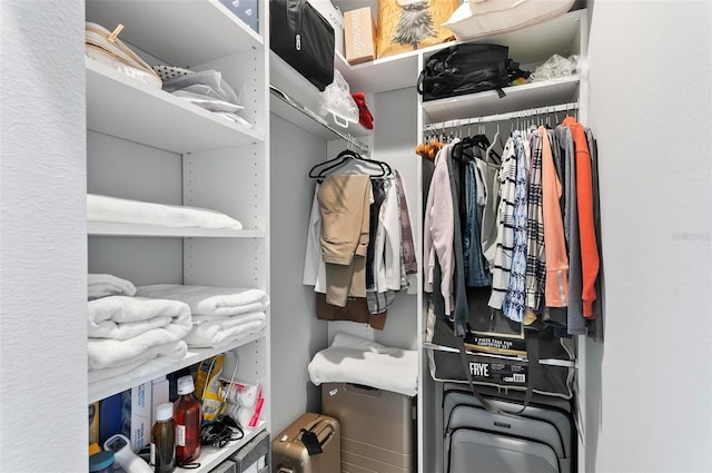 96 Del Palma Dr, Palm Coast, FL 32137 - view of spacious closet