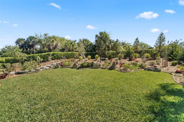 96 Del Palma Dr, Palm Coast, FL 32137 - view of yard