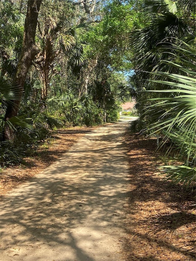68 Los Lagos Blvd, Palm Coast, FL 32137 - view of road