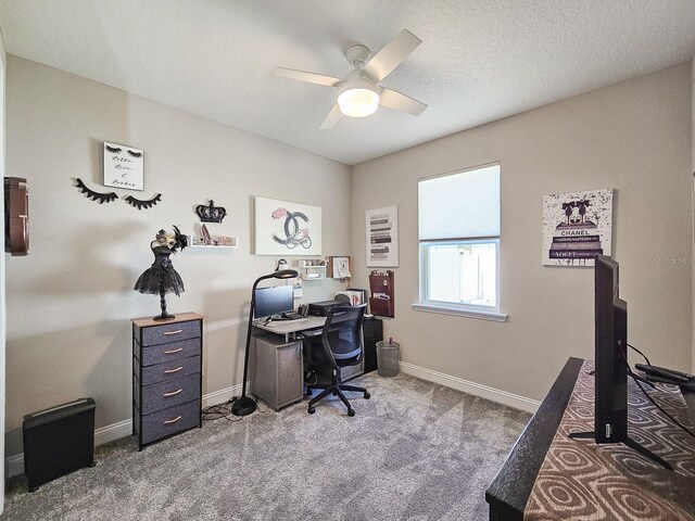 68 Los Lagos Blvd, Palm Coast, FL 32137 - office space with a ceiling fan, carpet, baseboards, and a textured ceiling