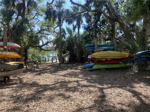 68 Los Lagos Blvd, Palm Coast, FL 32137 - view of yard