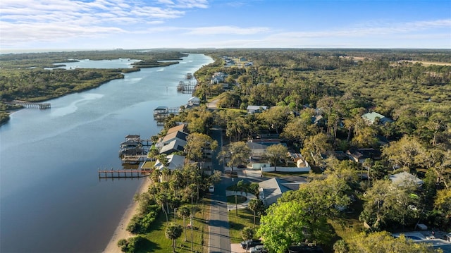 bird's eye view featuring a water view and a wooded view