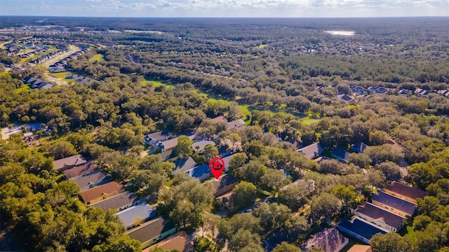 3220 Galty Cir, Ormond Beach, FL 32174 - bird's eye view of a heavily wooded area