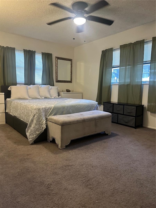 787 Alhambra Ave, Saint Augustine, FL 32086 - bedroom featuring carpet, ceiling fan, and a textured ceiling