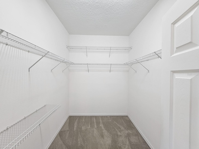 spacious closet with carpet flooring