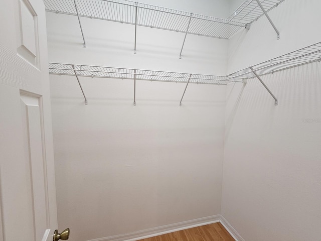 spacious closet featuring light wood-style flooring