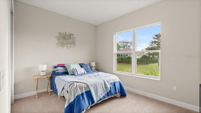 29 Old Oak Dr S, Palm Coast, FL 32137 - carpeted bedroom with baseboards