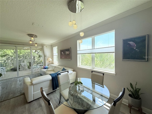 45 Riverview Bnd S Unit 1937, Palm Coast, FL 32137 - dining room with a textured ceiling, ornamental molding, wood finished floors, and baseboards