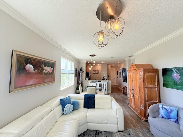 45 Riverview Bnd S Unit 1937, Palm Coast, FL 32137 - living room featuring wood finished floors, a textured ceiling, and crown molding