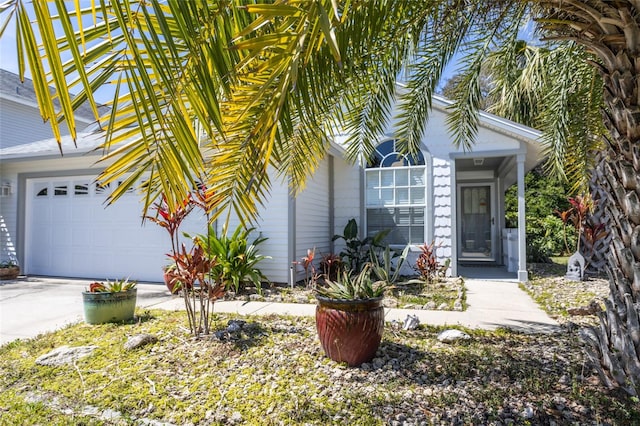 28 Bristol Dr, Palm Coast, FL 32137 - photo 36