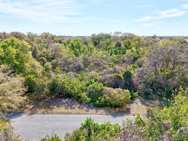 20 Chinier St, Palm Coast, FL 32137 - photo 20