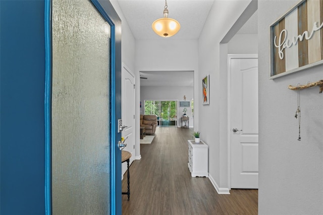 324 Palace Dr, Saint Augustine, FL 32084 - hallway featuring dark wood-type flooring and baseboards