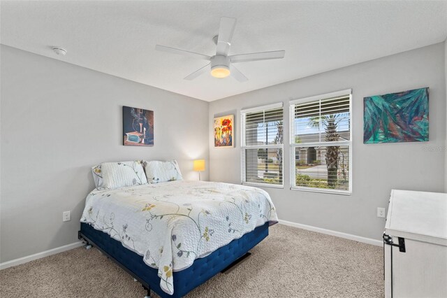 324 Palace Dr, Saint Augustine, FL 32084 - bedroom with carpet floors and a ceiling fan