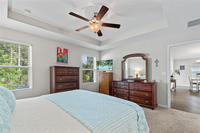 324 Palace Dr, Saint Augustine, FL 32084 - bedroom featuring a raised ceiling, carpet, and ceiling fan